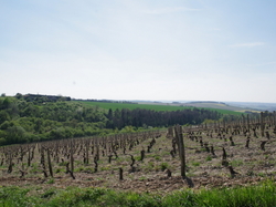 SEJOUR AVRIL 2017 - VALLEE DE L'YONNE